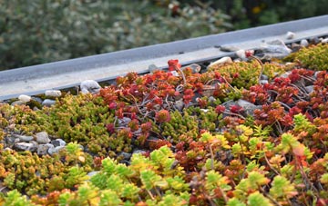 the cost of Deeping Gate green roof installation
