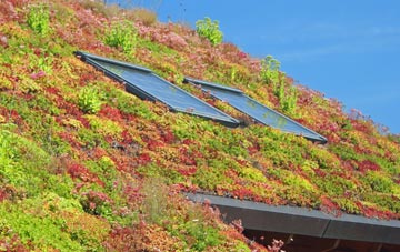 Deeping Gate living roof systems